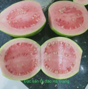 Đặc sản rượu ổi đào rừng Hà Giang