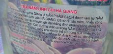 Nấm linh chi rừng Hà Giang